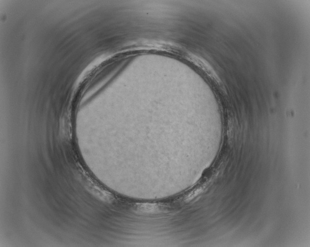 X0000080731172200701051052