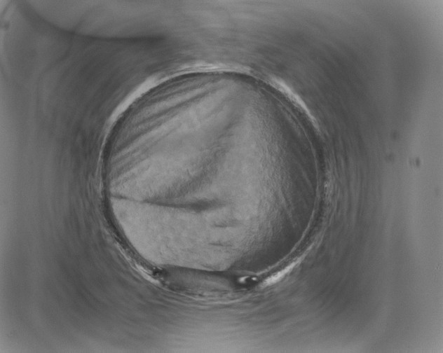 X0000080731173200701051052