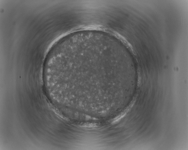 X0000080731174200701051051