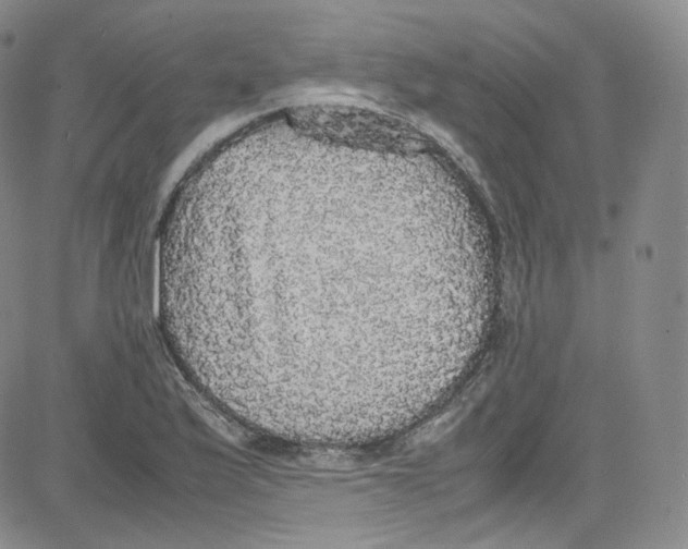 X0000080731175200701051051