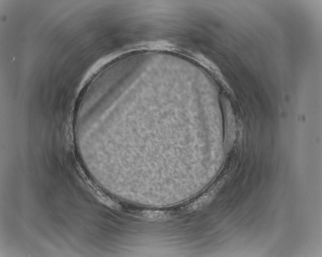 X0000080731176200701051051