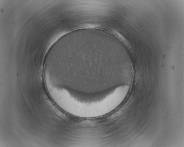 X0000080731178200701051051