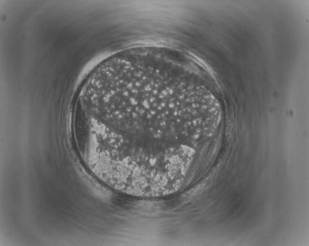 X0000080731179200701051051