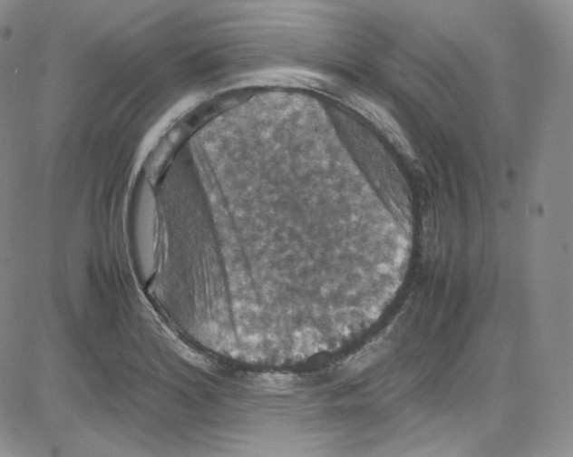 X0000080731180200701051051