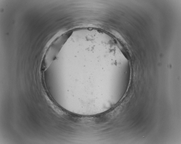 X0000080731181200701051051