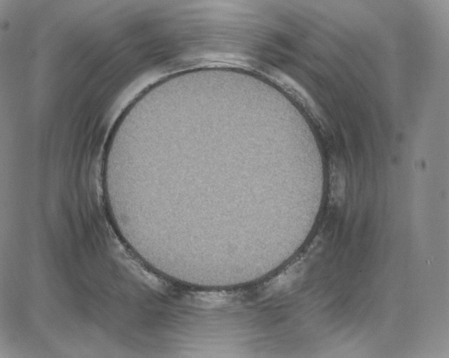 X0000080731182200701051051