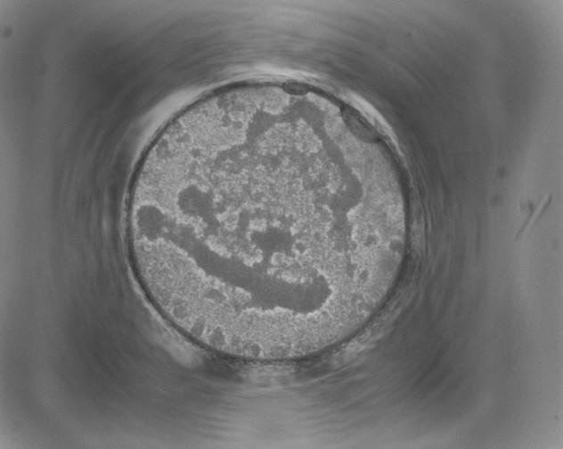 X0000080731183200701051051