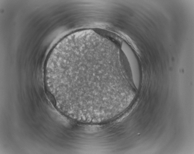 X0000080731184200701051051