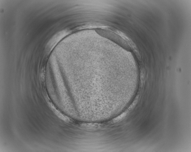 X0000080731185200701051051