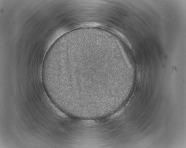 X0000080731186200701051051