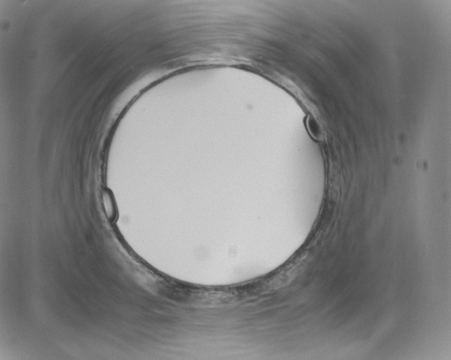 X0000080731187200701051051