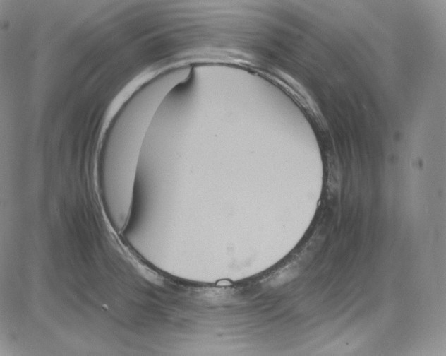 X0000080731188200701051051