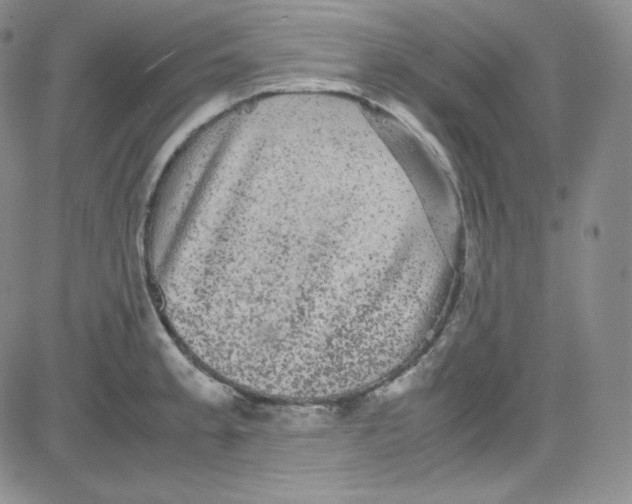 X0000080731189200701051051