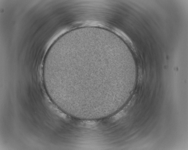 X0000080731190200701051051