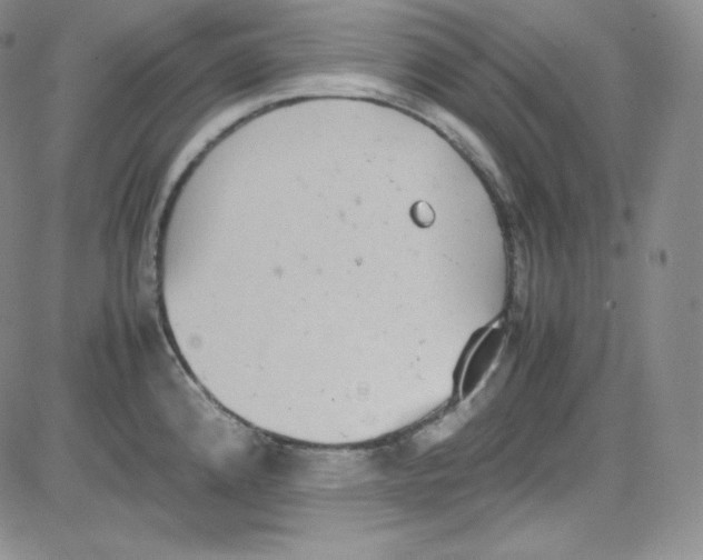 X0000080731192200701051051