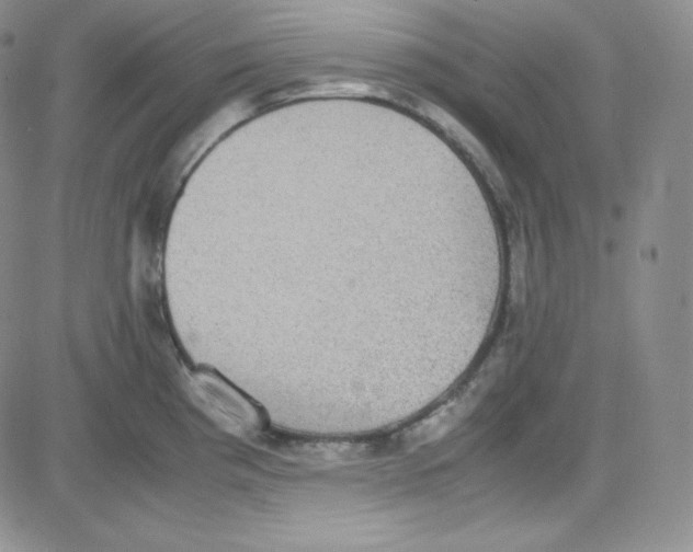 X0000080731193200701051051