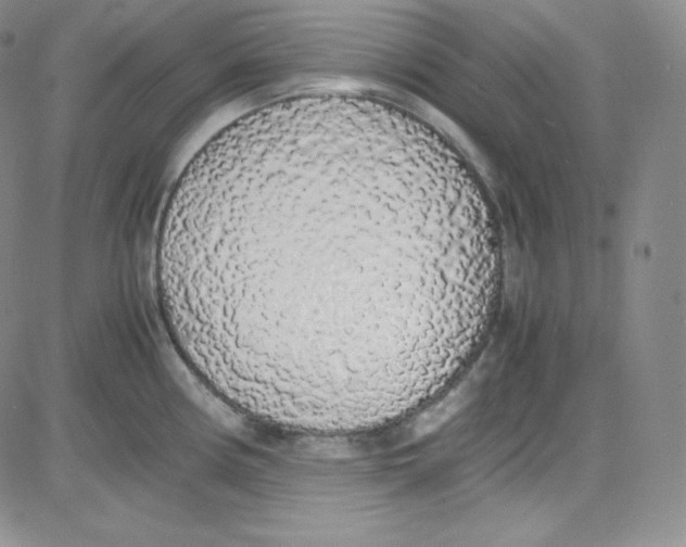 X0000080731194200701051051