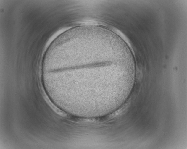 X0000080731195200701051051