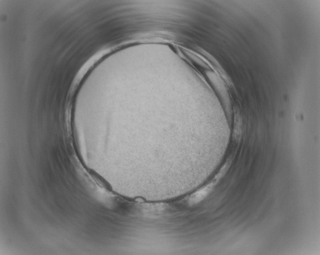 X0000080731196200701051051