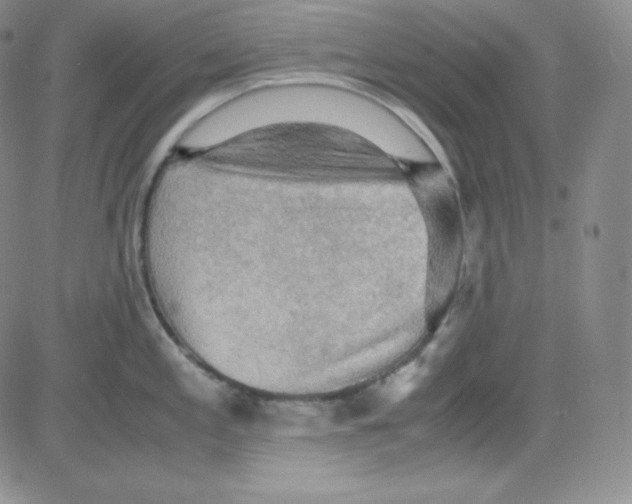 X0000080731197200701051051