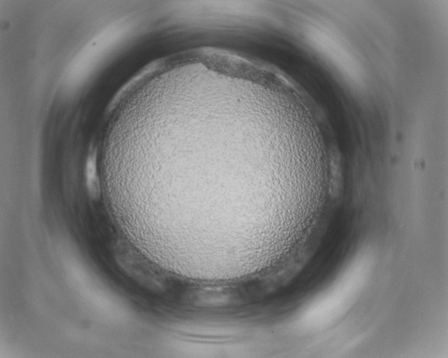 X0000080731198200701051051