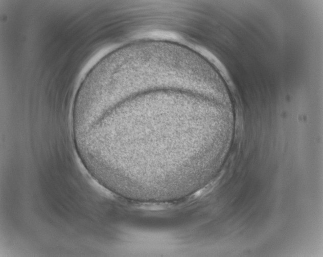 X0000080731199200701051051