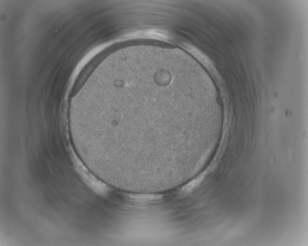 X0000080731200200701051051