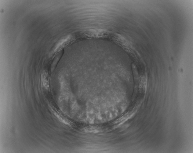 X0000080731202200701051050