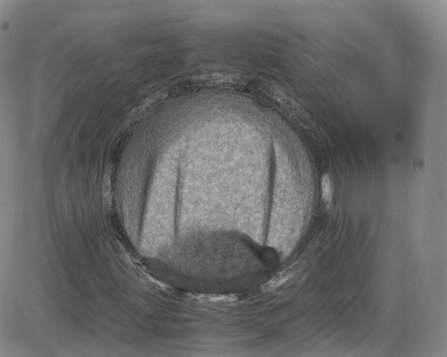 X0000080731203200701051050