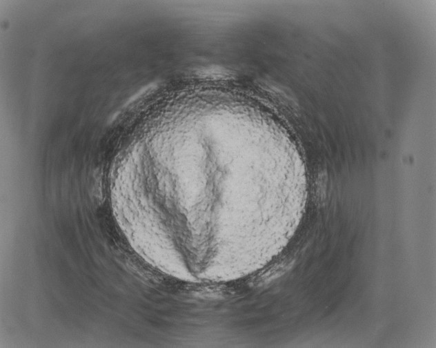 X0000080731205200701051050