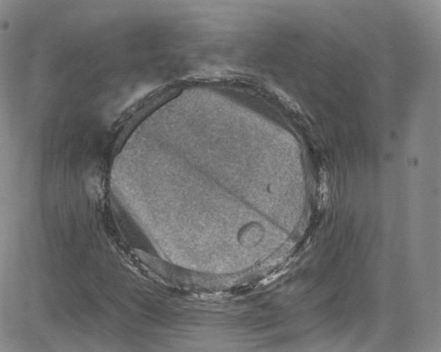 X0000080731206200701051050