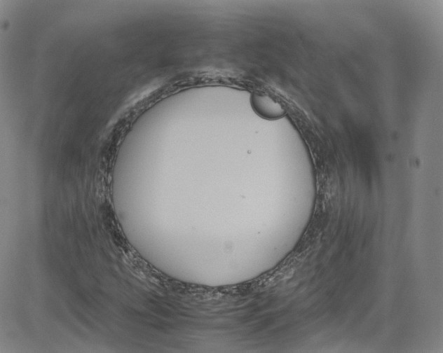 X0000080731207200701051050