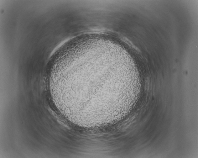 X0000080731208200701051050