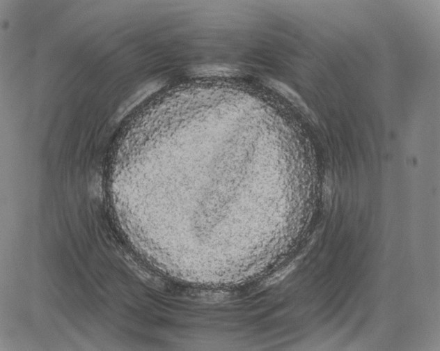 X0000080731209200701051050