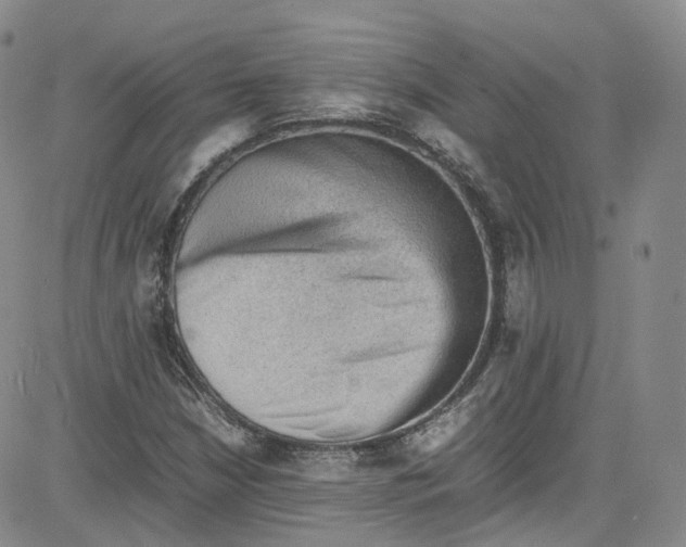 X0000080731210200701051050