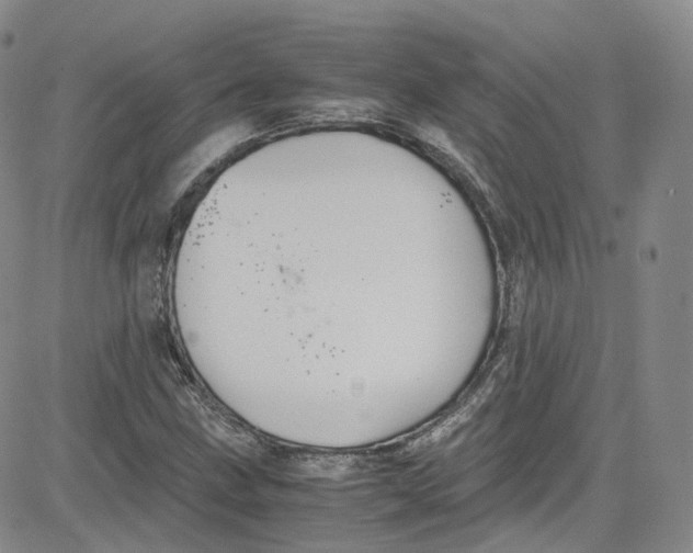 X0000080731211200701051050