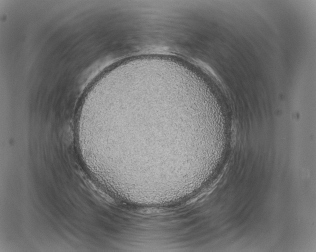 X0000080731212200701051050