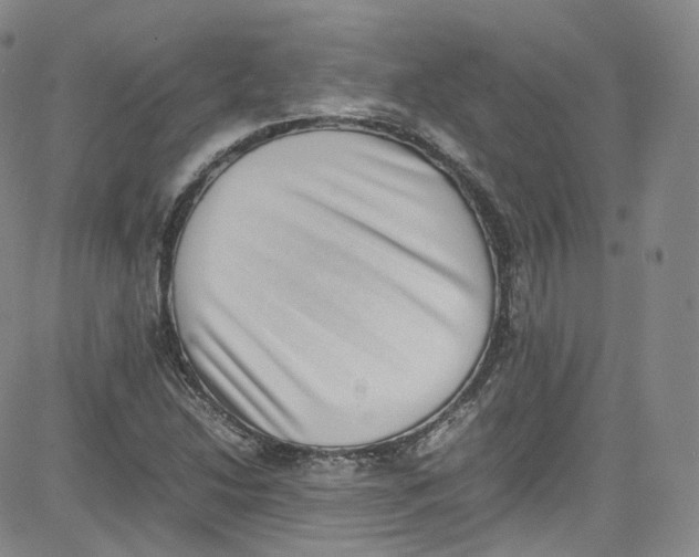 X0000080731214200701051051