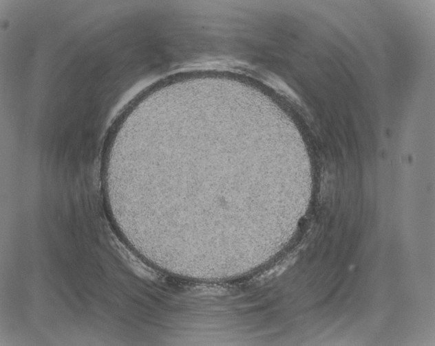 X0000080731216200701051051