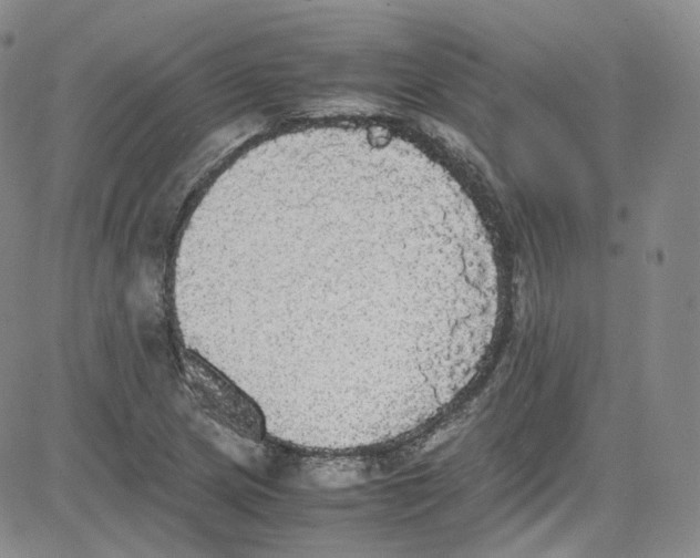 X0000080731217200701051051