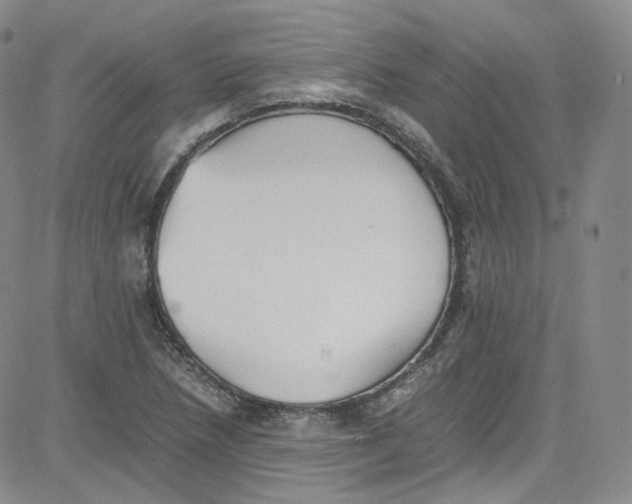 X0000080731218200701051051