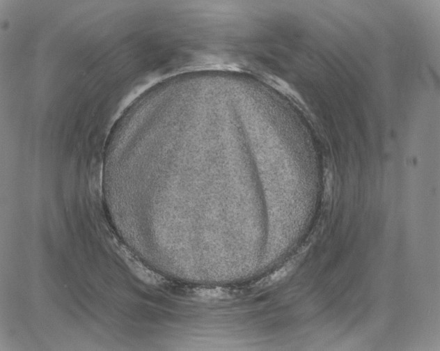 X0000080731220200701051051