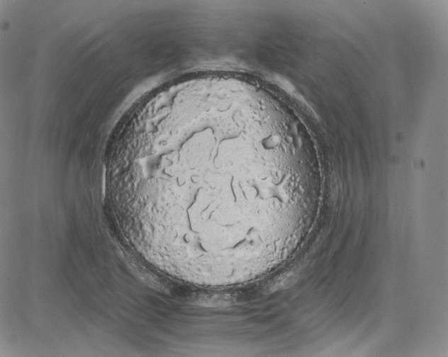 X0000080731221200701051051