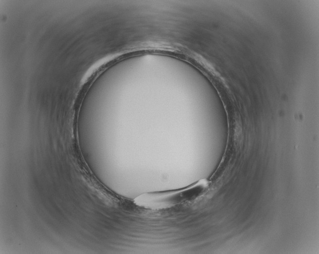 X0000080731222200701051051