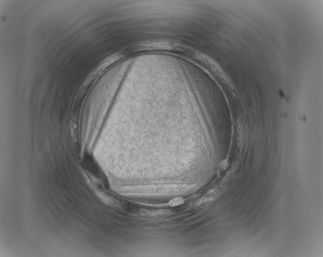 X0000080731225200701051051