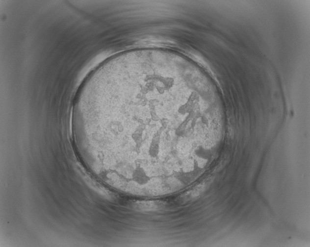 X0000080731227200701051051