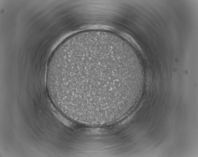 X0000080731228200701051051