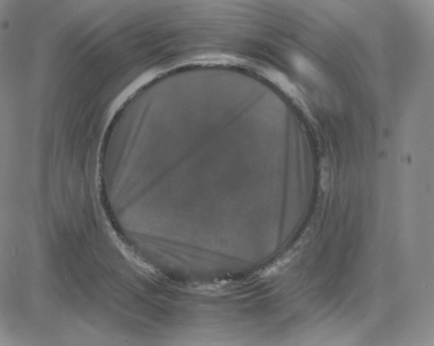 X0000080731229200701051051