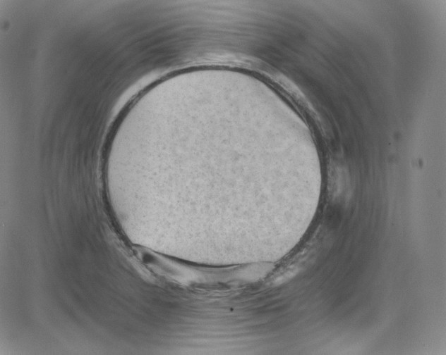 X0000080731230200701051051