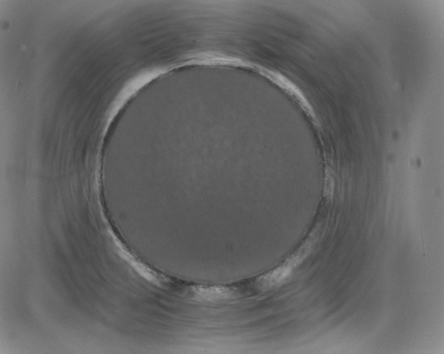 X0000080731231200701051051